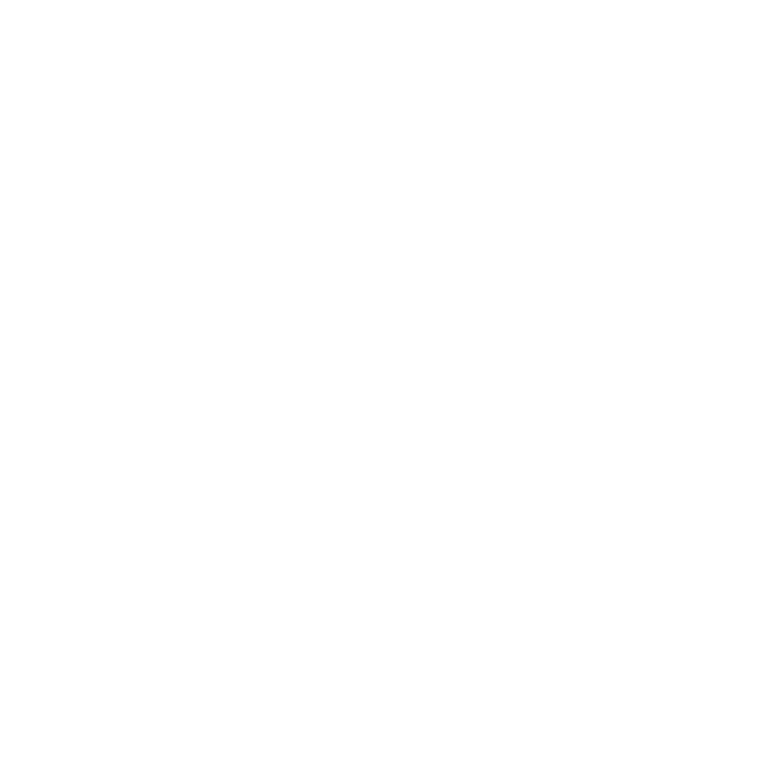 Adizya Logo Emblem