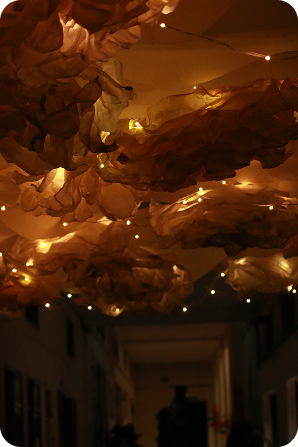 Gallery Photo 1